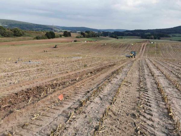 38453001612823209924696057654986951880632501n