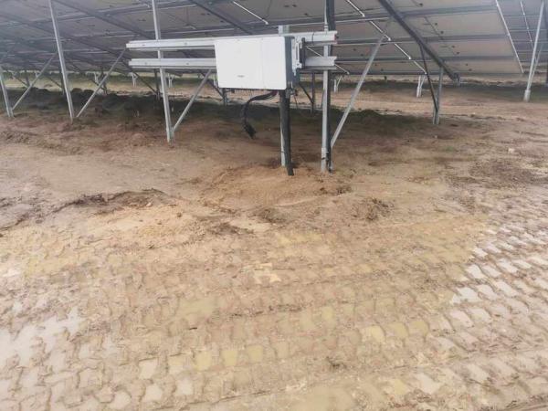 3845311065446371678177838489499314949012214n